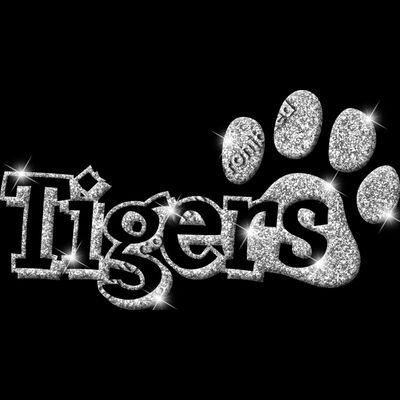 GLT17   SILVER GLITTER Thumbnail